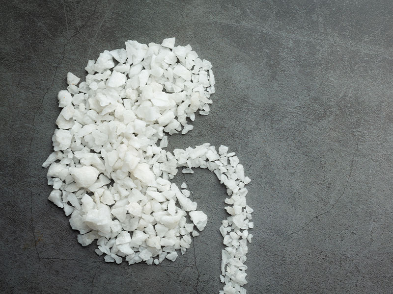 Nefrolitotripsia Percutânea: O tratamento para cálculos renais grandes