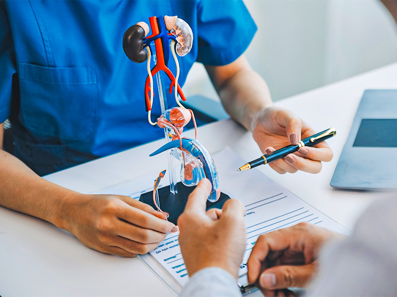 Endourologia explicada: O tratamento de doenças por dentro dos canais