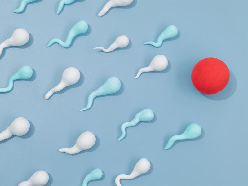 Reversão de vasectomia: O que é possível?
